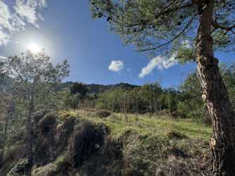 Wycieczka fakultatywna, Wycieczka Kyrenia Jeep Safari