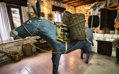 Wycieczka jednodniowa, Szlakiem Cypryjskich Winnic - Sterna Winiarnia