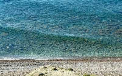 Wycieczka fakultatywna, Wycieczka na plażę Skała Afrodyty z karmieniem osiołków z Pafos