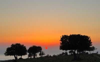 Wycieczka fakultatywna, Marathon [41] Jeep Safari - Narodowy Park Akamas z Cypru Północnego